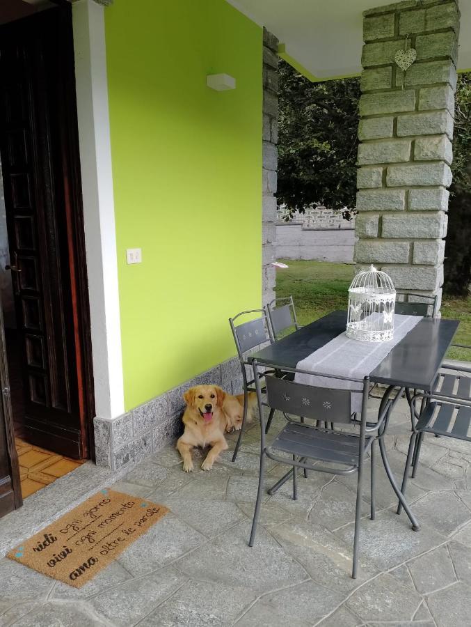 Bed and Breakfast Il Faggio Beura Zewnętrze zdjęcie